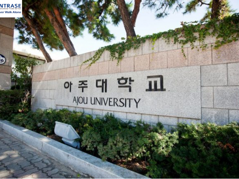 Du học Hàn Quốc - Trường Đại học Ajou