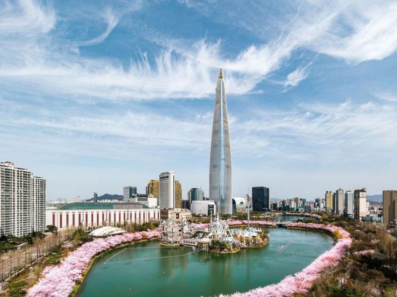 Du học Hàn Quốc - Lễ hội hoa anh đào hồ Seokchon